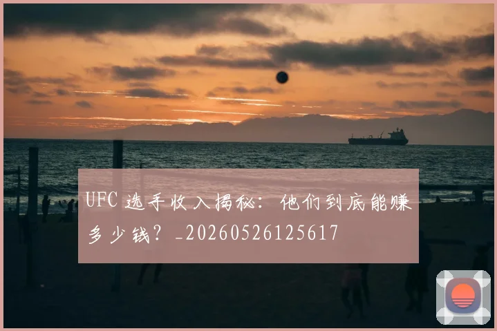 UFC 选手收入揭秘：他们到底能赚多少钱？_20260526125617