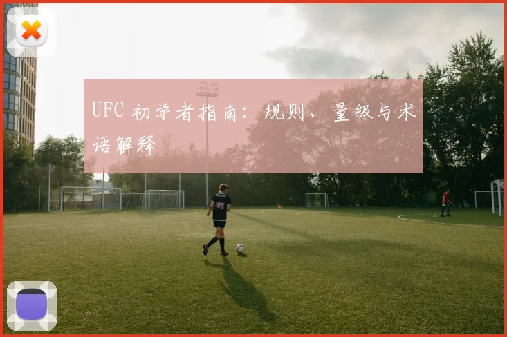 UFC 初学者指南:规则、量级与术语解释