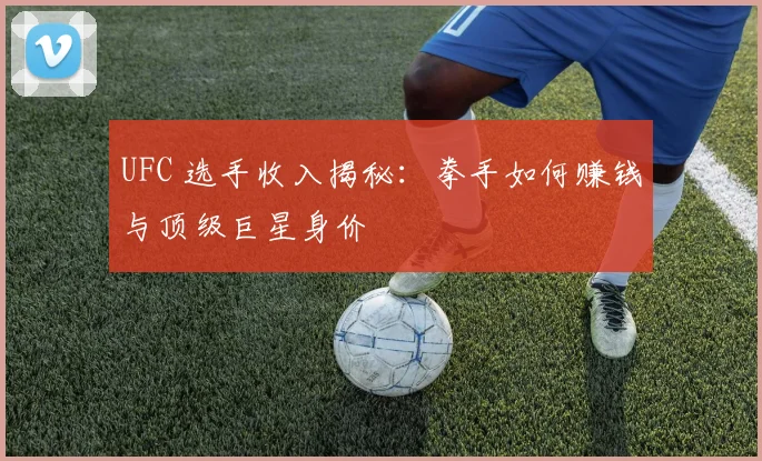 UFC 选手收入揭秘：拳手如何赚钱与顶级巨星身价