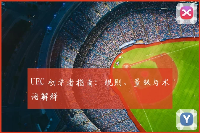 UFC 初学者指南：规则、量级与术语解释